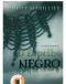 [The Bridei Chronicles 01] • O Espelho Negro